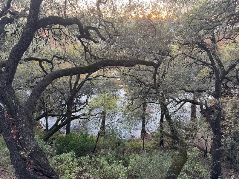 The Restaurant's Location Along the Guadalupe River Sets the Scene