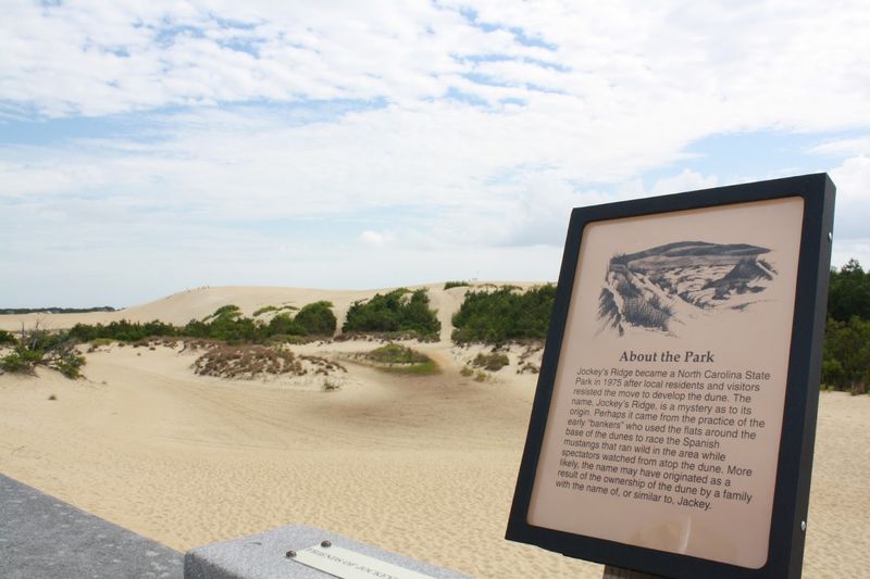 What Makes a Living Sand Dune So Special
