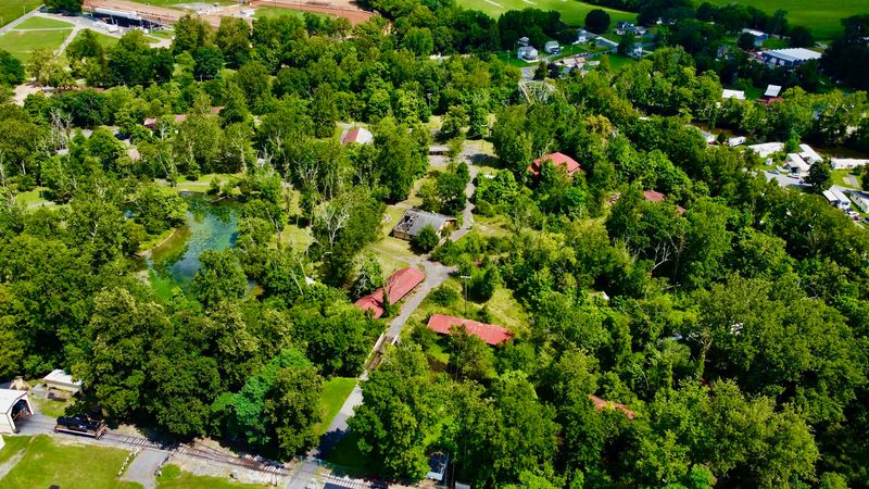 From Picnic Grove to Amusement Park