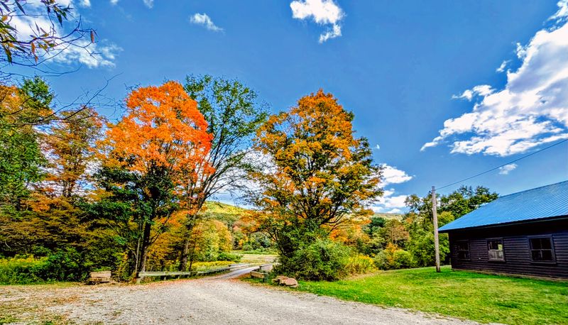 Forest Roads That Turn a Simple Drive Into an Adventure