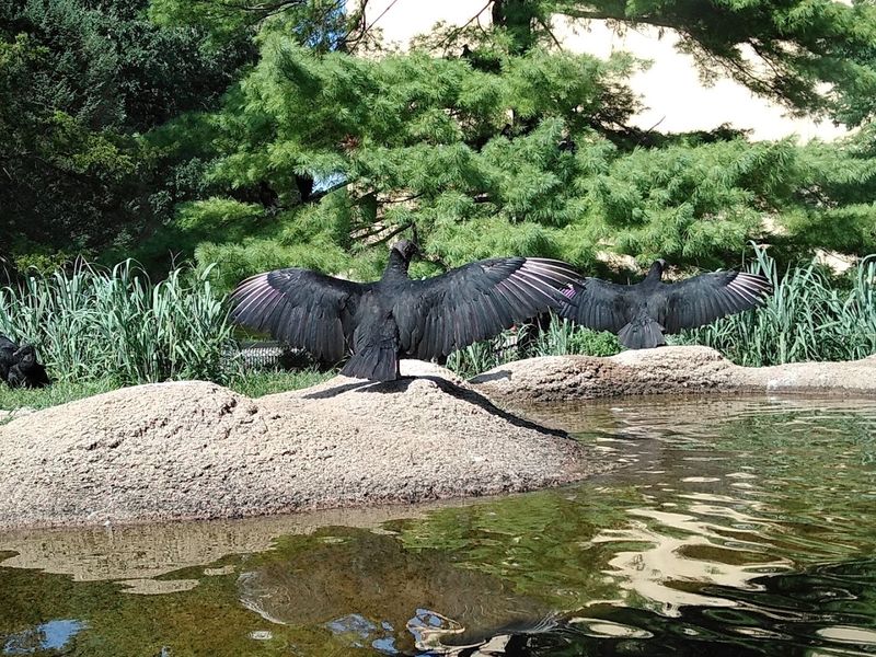 Make Time For A Full Walk Through The Park