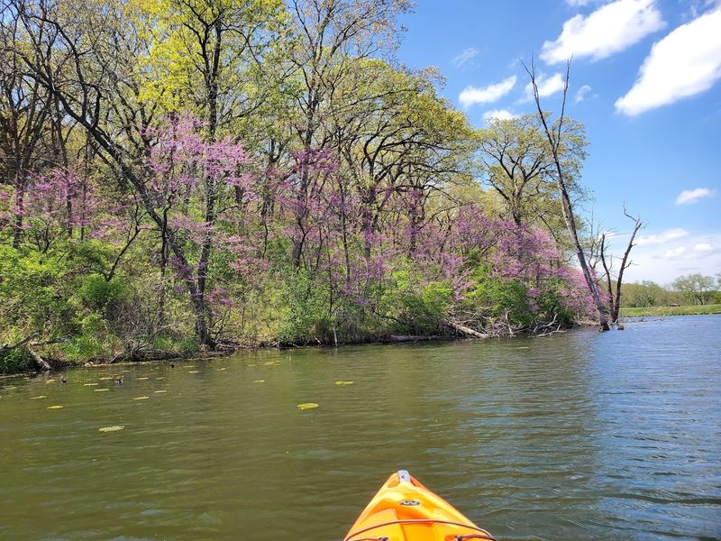 Why Paddlers Love The Lake