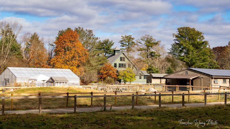 Capture Beautiful New England Farm Scenery