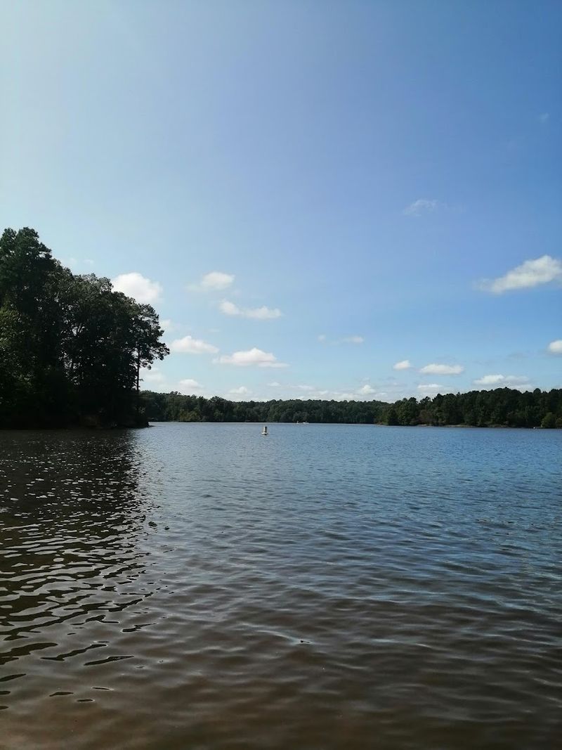The Neuse River's Slow, Scenic Flow