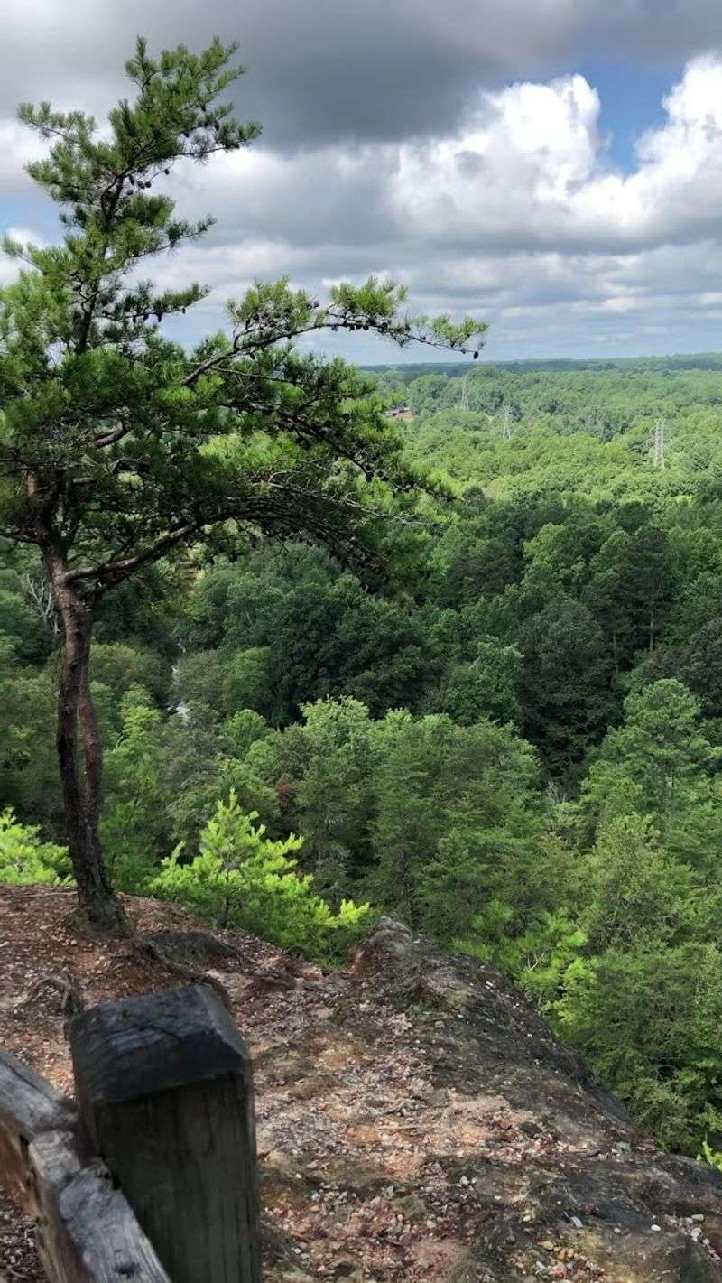 The Summit Overlook Delivers Big Rewards