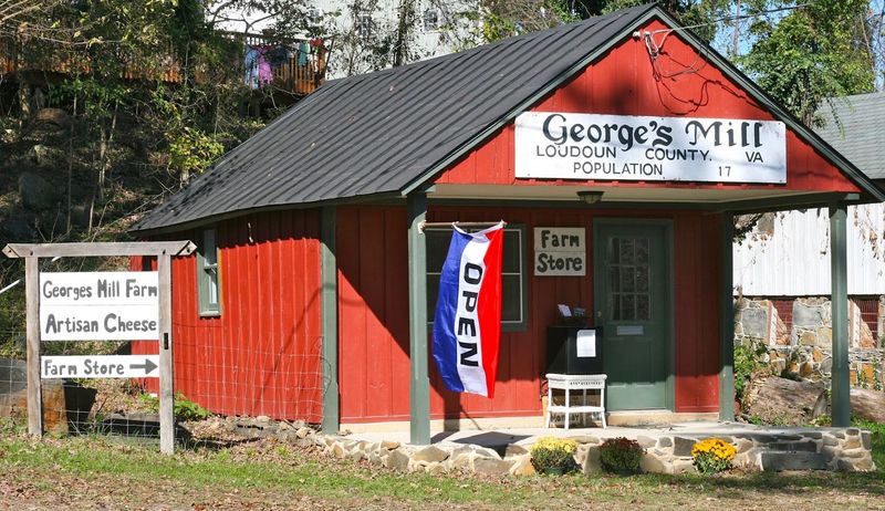 Rolling Hills and Goat Cheese Near Lovettsville