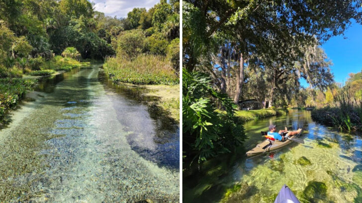 A Shaded, Crystal-Clear Lazy River That Feels Like One of Florida’s Most Relaxing Nature Escapes