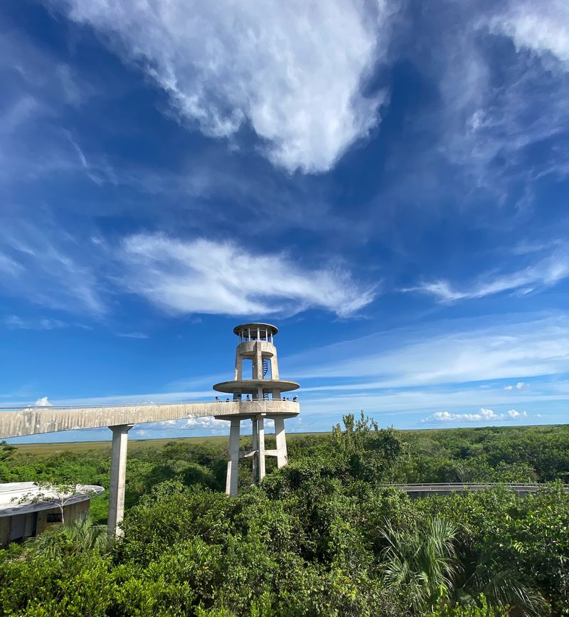 The Halfway Tower Delivers the Big Picture