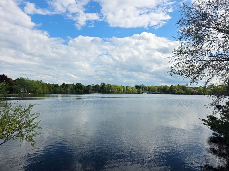 The Wooded Shoreline Steals The Show