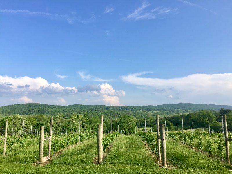 The View That Steals The Show
