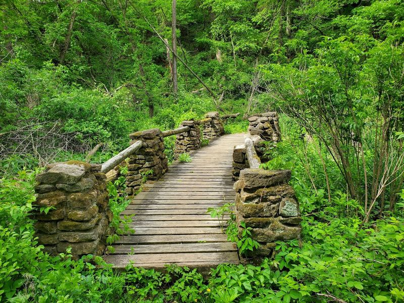 Trails That Keep Things Interesting