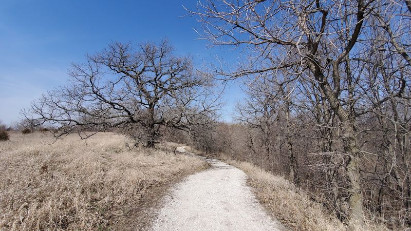 The Off Road Riding Area Delivers Real Adventure
