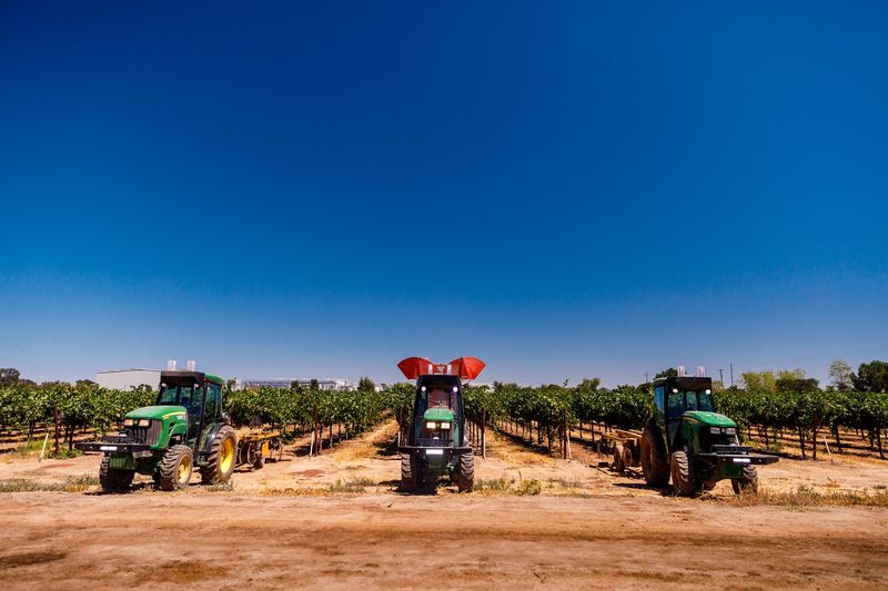 A City With a Strong Agricultural Identity