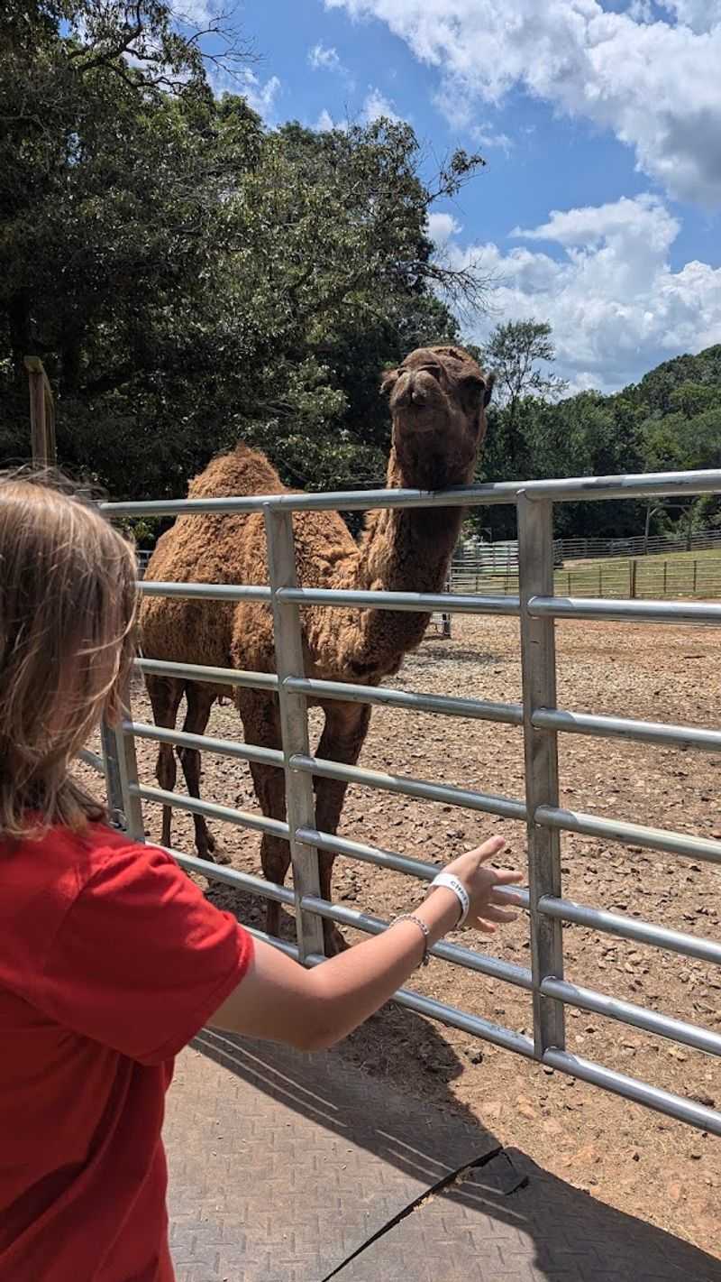 The Guided Wildlife Walk Through Exotic Animal Habitats