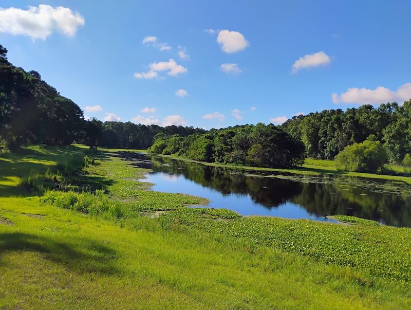 Pinckney Island National Wildlife Refuge - Hilton Head Island, Beaufort County