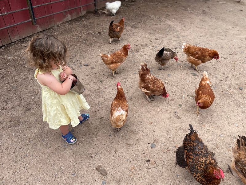Flamig Farm (West Simsbury)