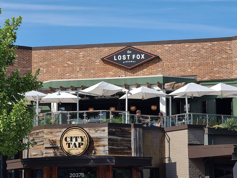 The Lost Fox — Ashburn