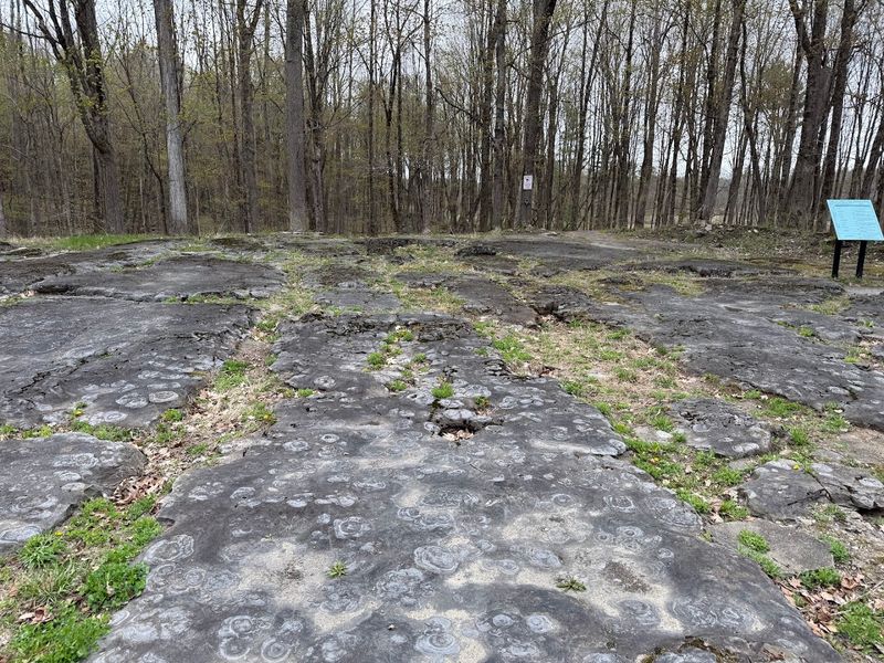 Hudson River Valley Fossil & Geological Sites &mdash; Hudson Valley, New York