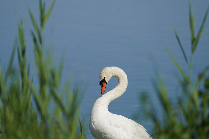 Jamaica Bay Wildlife Refuge, Queens, Queens County