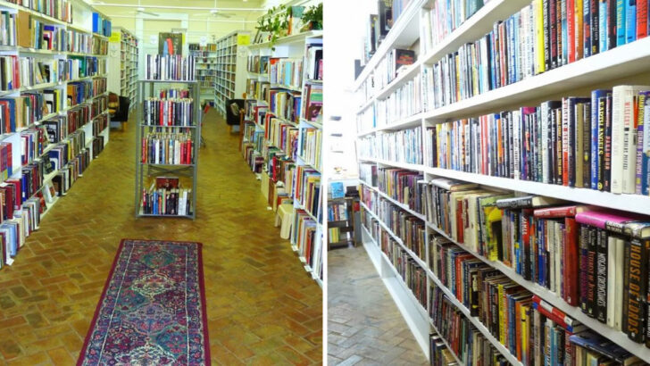 Affordable Used Books Fill Every Corner Of This Small-Town Georgia Bookstore