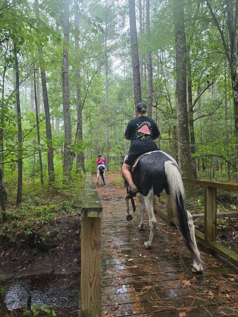Congaree National Park Trails - Hopkins, Richland County