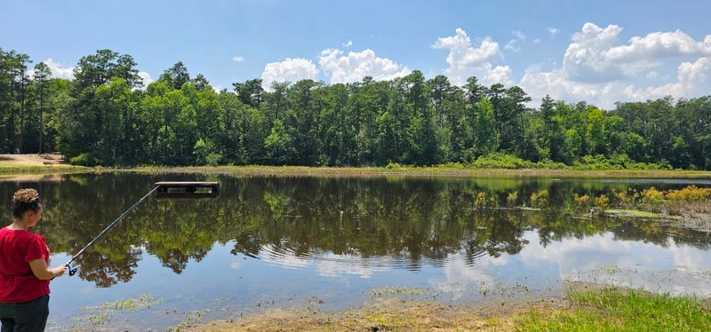 Barnwell State Park