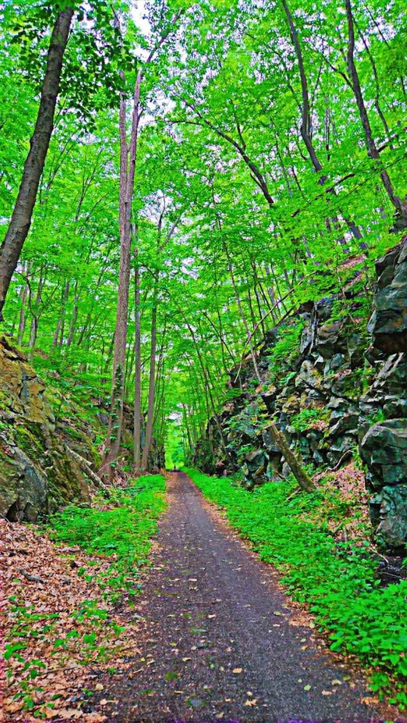 Larkin State Park Trail