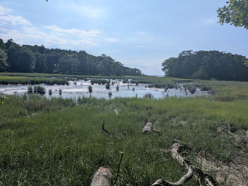 Caumsett State Historic Park Preserve