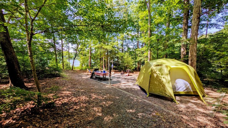 Uwharrie National Forest - Troy, Montgomery County