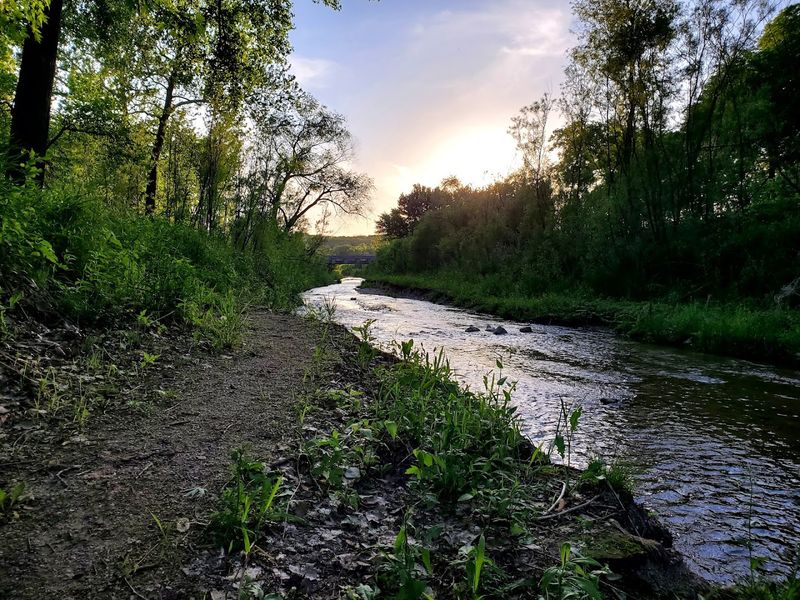 Ledges State Park - Madrid, Boone County