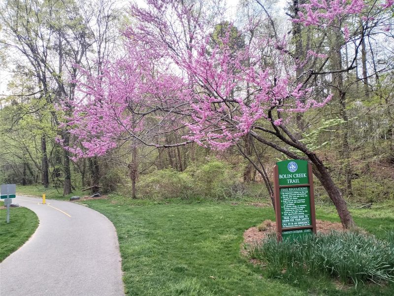 Bolin Creek Trail