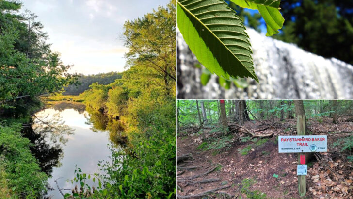 Amherst Is Home To A Massachusetts Swimming Hole That Locals Return To Every Summer