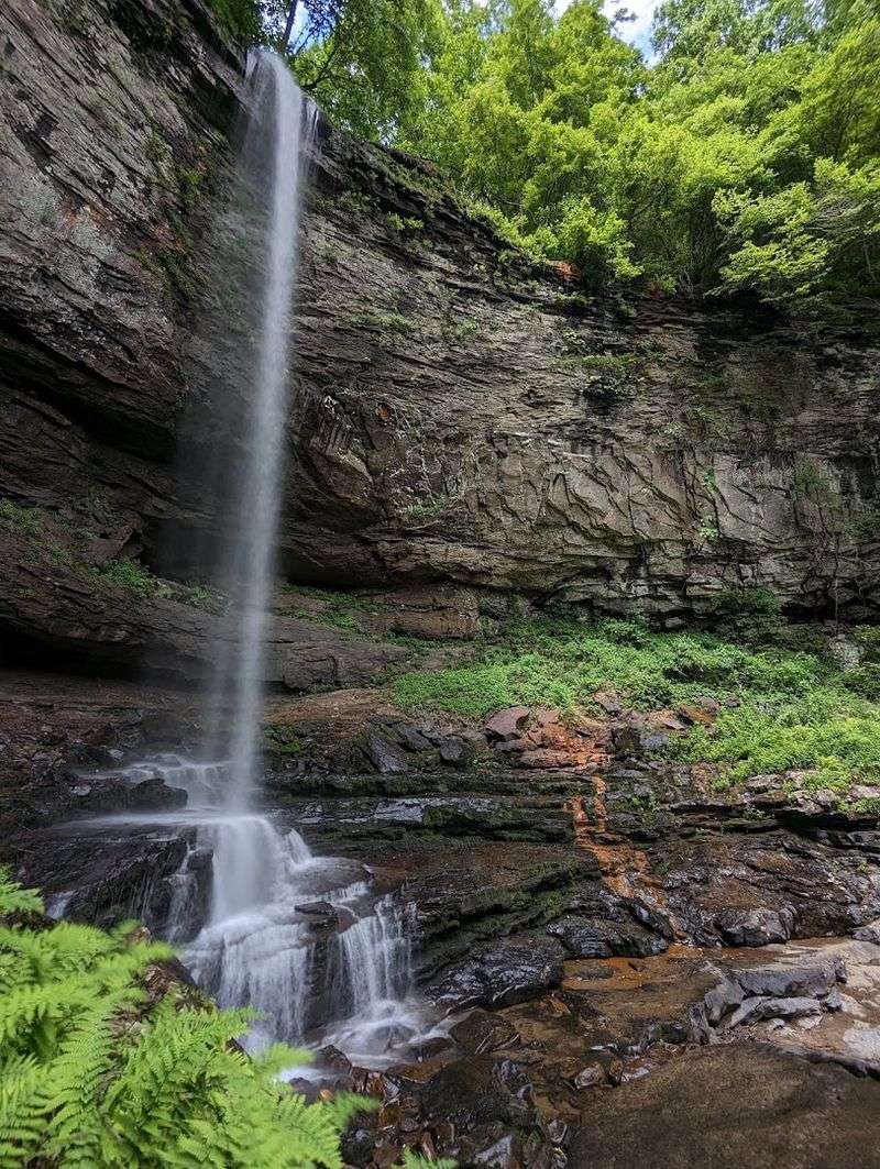Waterfalls Trail &ndash; Cloudland Canyon State Park