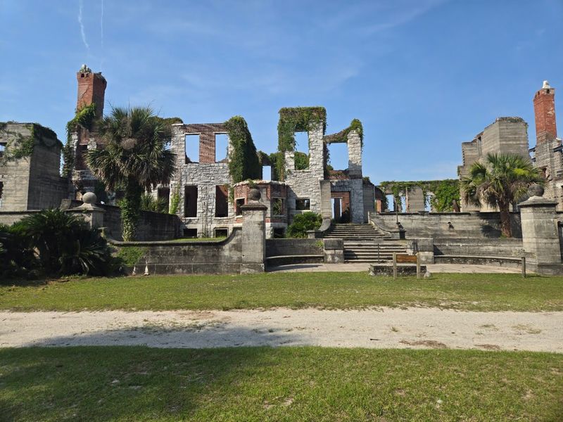 Cumberland Island National Seashore - Accessible by ferry from St. Marys