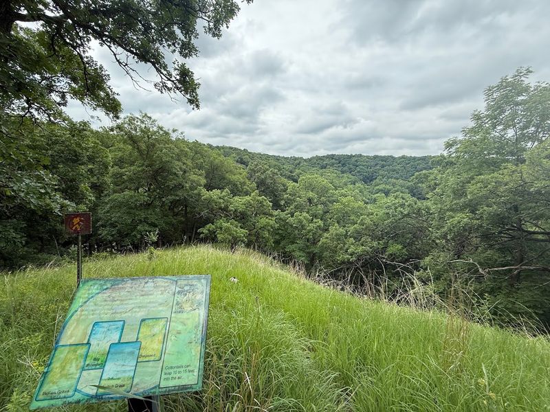 Sacred Native American Burial Mounds