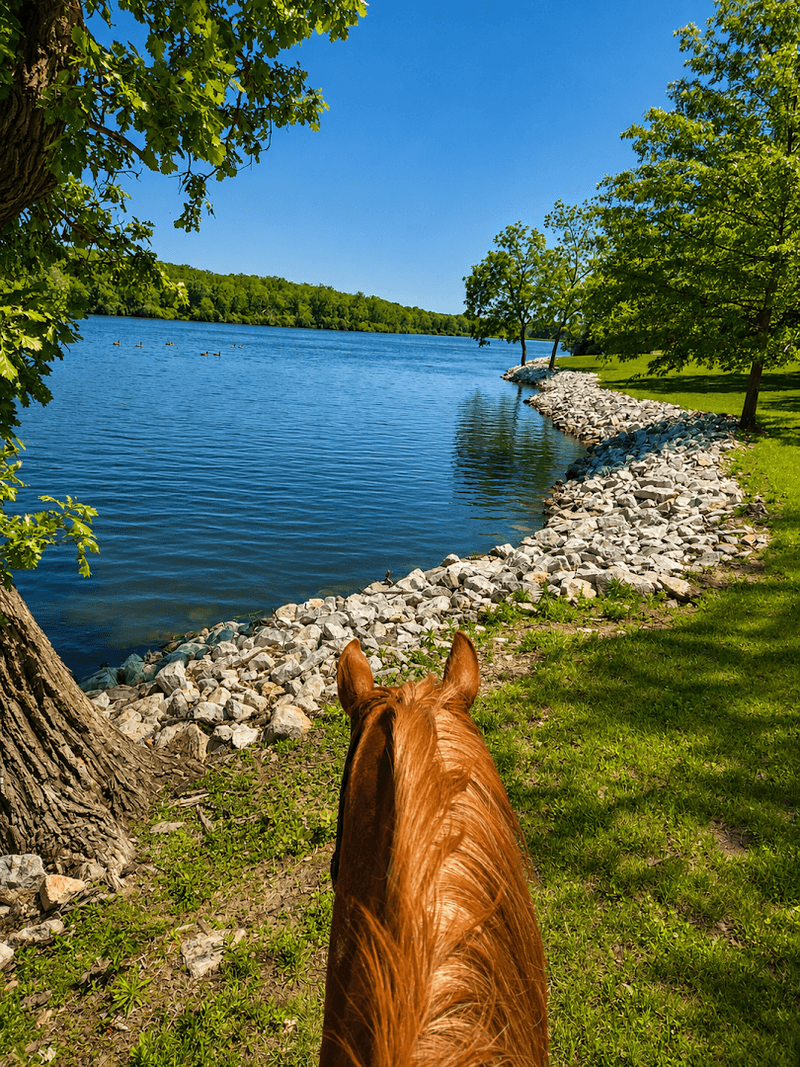 More Than Eight Miles of Trails Circle the Lake