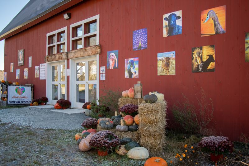 Tours That Feel Personal And Educational