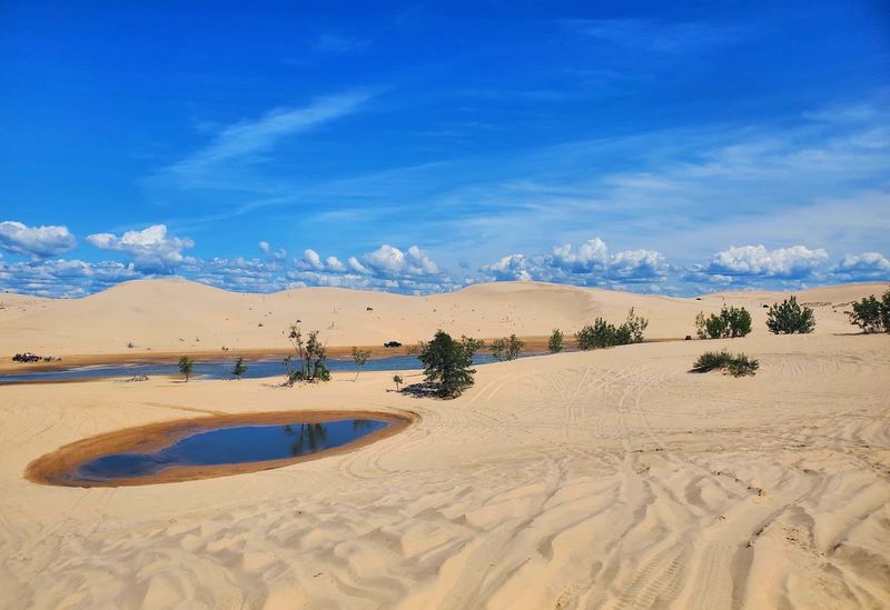 Silver Lake Sand Dunes - Mears, Oceana County