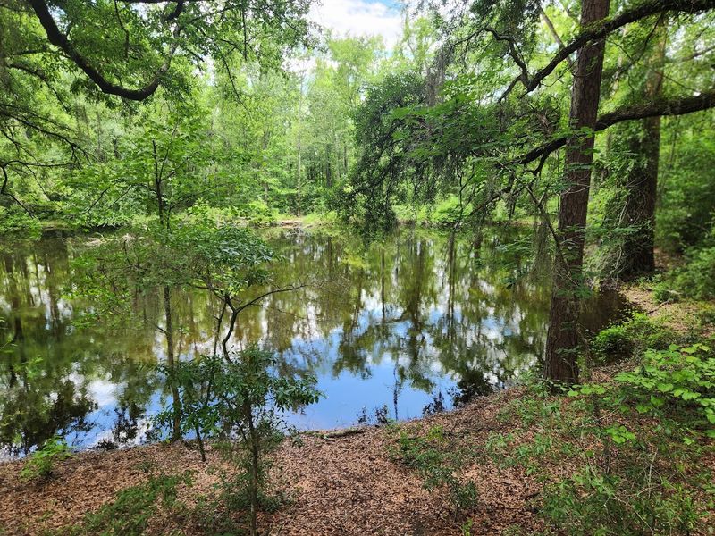 Wetlands, Wildlife, And Scenic Water Views
