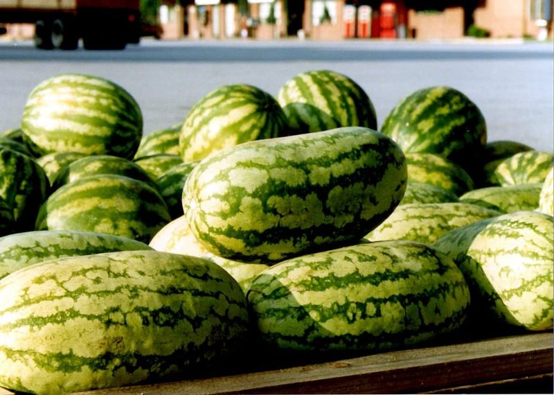 Savannah State Farmers Market - Savannah