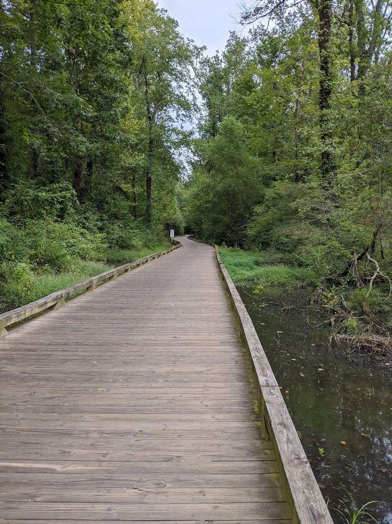 Big Creek Greenway (Alpharetta / Forsyth County)