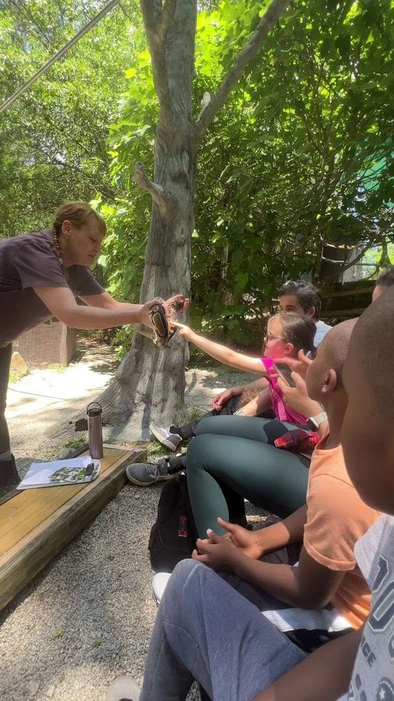 AWARE Wildlife Center