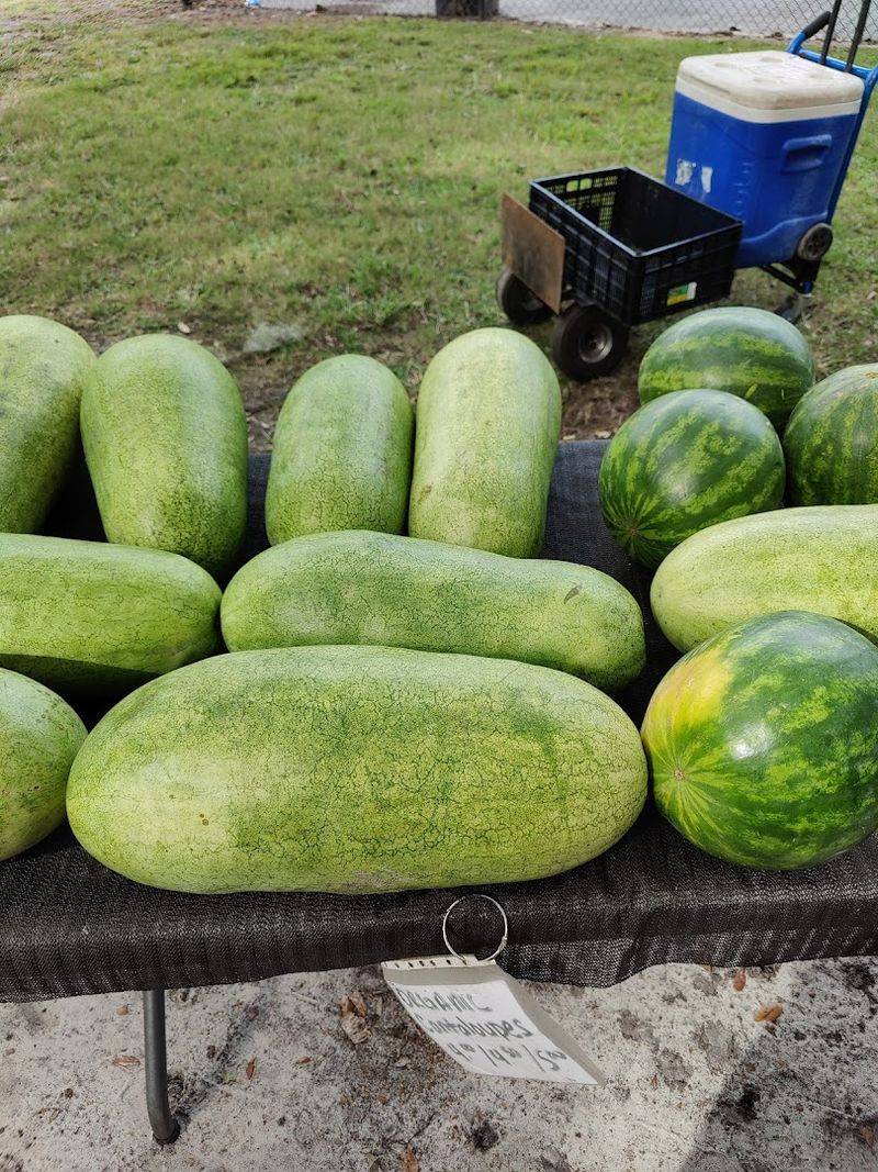 Forsyth Farmers' Market - Savannah, GA