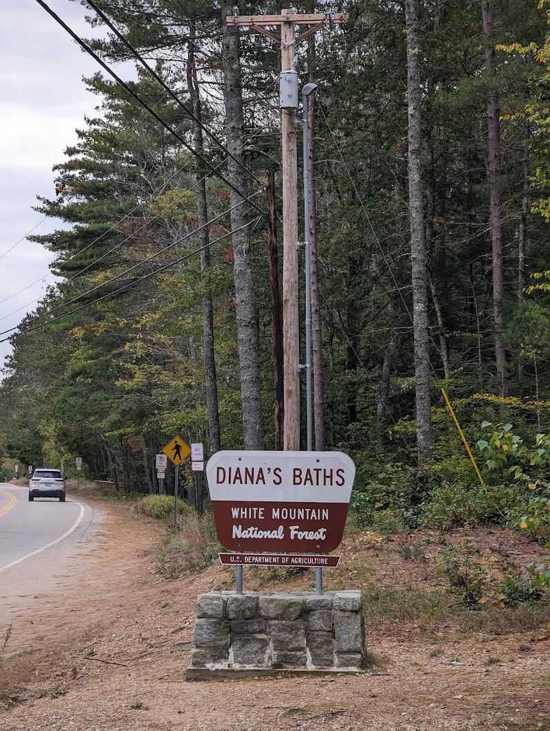 Ample Parking With National Forest Amenities
