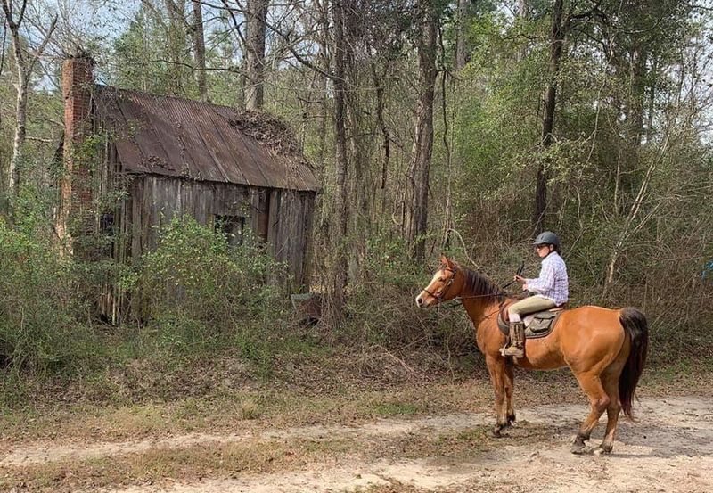 Audubon’s Silver Bluff Sanctuary