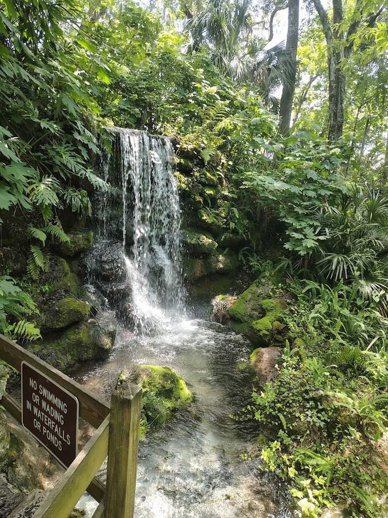 Natural Waterfall Cascades