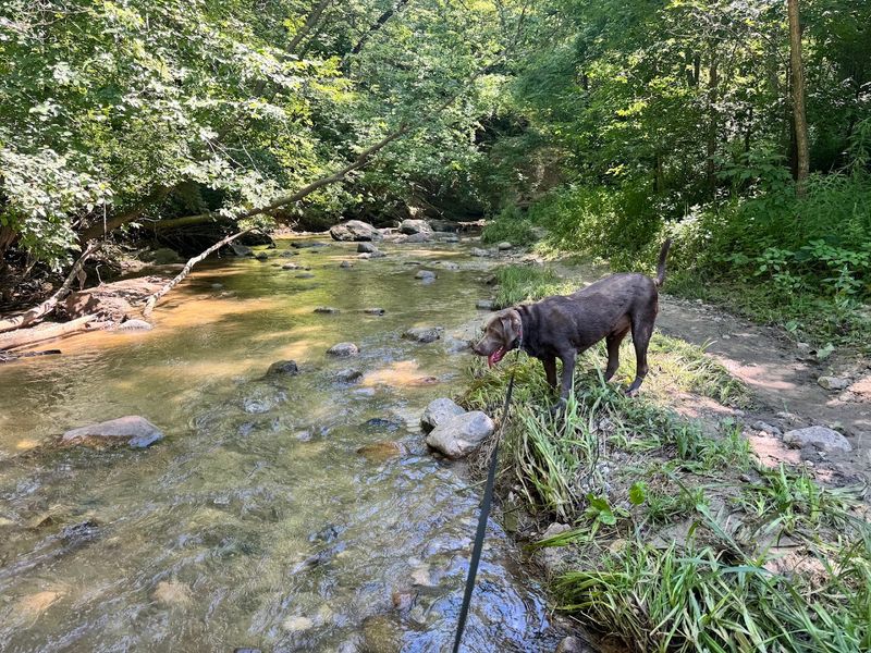 Ledges State Park