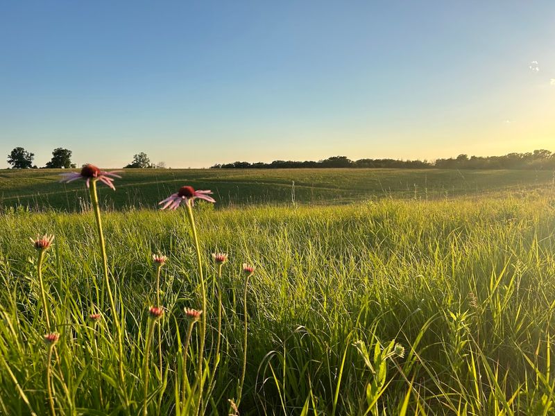 Whiterock Conservancy - Coon Rapids, Carroll County