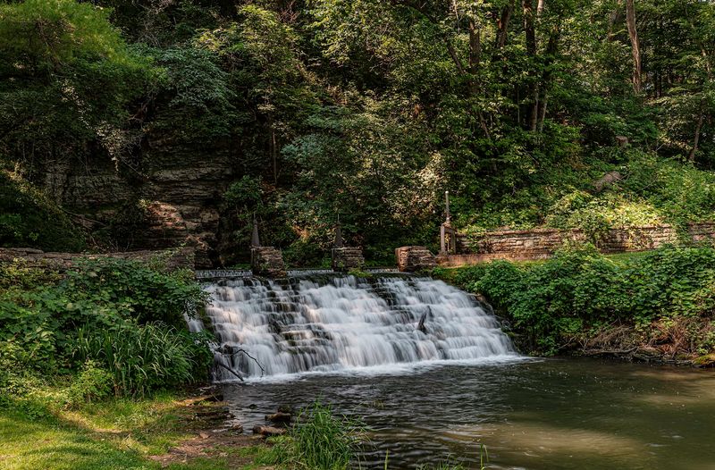Siewers Springs Trail (Decorah)