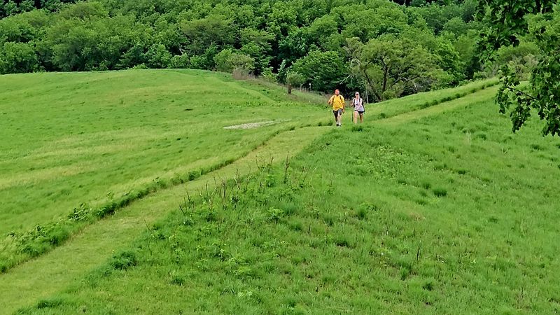 Challenging Hills That Deliver Serious Workouts